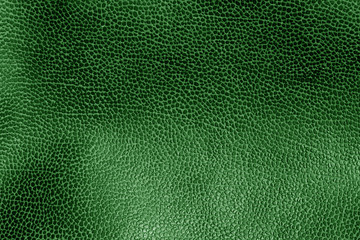 Green toned weathered leather texture.