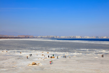 Canvas Print - beidaihe seashore winter scenery