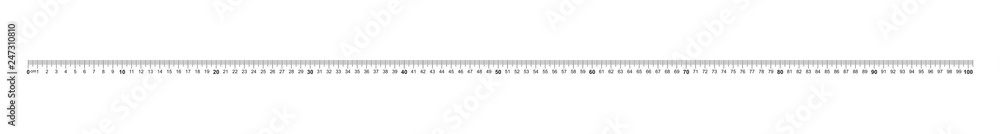 100 Cm Ruler Ruler 100 centimeter. Precise measuring tool. Calibration grid. Stock ...