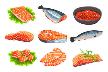 Poster - Fresh salmon fish set, fillet, steak and caviar, seafood product vector Illustrations on a white background