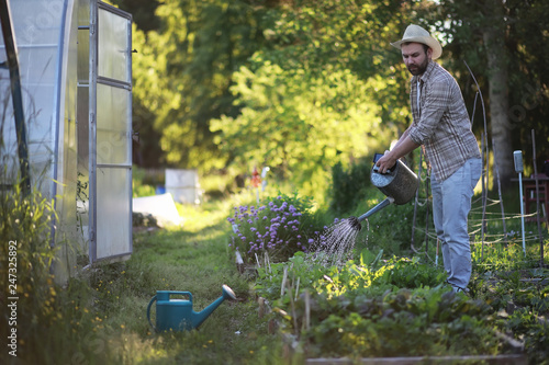 Zdjęcie XXL Mężczyzna rolnik nawadnia jarzynowego ogród