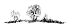 Photo Of Winter Tree With Field Covered By Snow Isolated On White Background