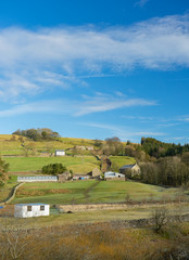 Wall Mural - View of South Tyne valley near Garrigill, Cumbria