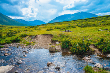 footpath through mountain creek in valley to distant wonderful giant mountains. hiking path. rich fl