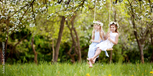 Two cute girls having fun on a swing in blossoming old apple tree ...