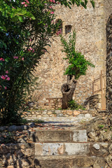 Wall Mural - small paved street in old traditional village of Kardamyli, Messenia