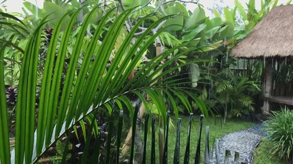 Wall Mural - Tropical rain, view from villa. Ubud. Bali island, Indonesia. Rain drops, tropical plants.