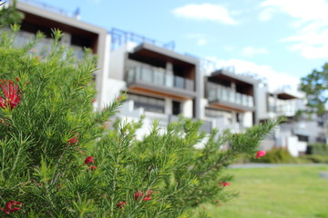 Melbourne residential area - Australia