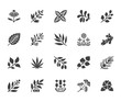 Medical herbs flat glyph icons. Medicinal plants echinacea, melissa, eucalyptus, goji berry, basil, ginger root, thyme chamomile. Signs for herbal medicine. Solid silhouette pixel perfect 64x64