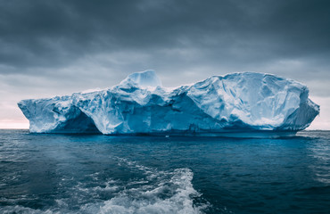 Wall Mural - big massive iceberg floating among the frozen ocean. antarctica epic scenery in blue and grey tints.