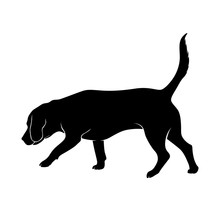 The Dog Is Sniffing. The Dog Is Beagle Breed Is Hear Smell. Silhouette. Vector Illustration.