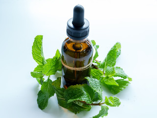 Peppermint essential oil in a bottle isolated on a white background