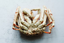 Upside Down Lobster Free Stock Photo - Public Domain Pictures