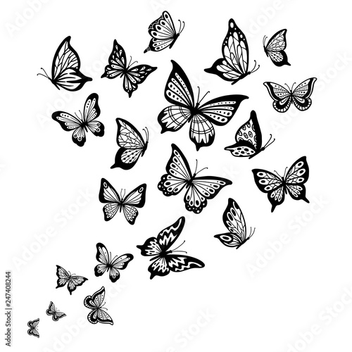 Free Free 244 Realistic Flying Butterfly Svg SVG PNG EPS DXF File