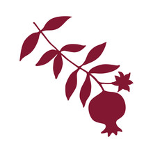 Sketch With Pomegranate On Branch With Leaves And Flower Silhouette. Red Pomegranate Icon Vector Illustration.