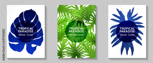 Tropical paradise leaf vector cover layout.