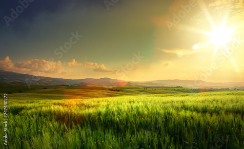 Plakat wiosną pola uprawne i drogi wiejskie; toskania pagórki wsi