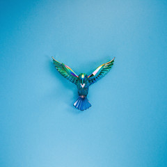 chameleon humming bird on the sky blue background. freedom symbol. minimal happiness concept. flat l