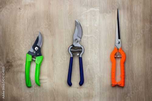 Straight pruning shears, florist scissors, multi,tasking