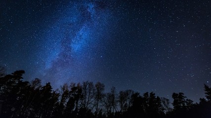 Beautiful night sky with Milky Way over forest.