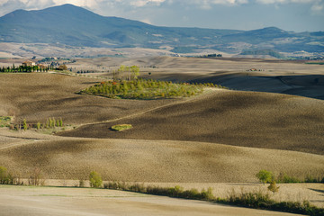 Autumn in Italy. Yellow plowed hills of Tuscany with interesting shadows and lines