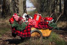 Vintage Lawn Cart Full Of Christmas Presents