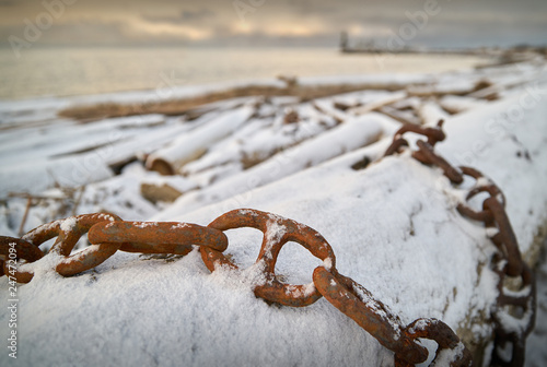 Snow on Beach Driftwood Poster Mural XXL