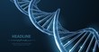 © CoreDESIGN - DNA. Abstract 3d polygonal wireframe DNA molecule helix spiral on blue.