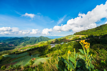 Agricultural area on high hill