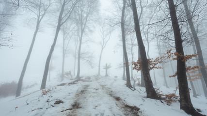 Fototapete - Trail covered in snow in romantic foggy forest. Trees with red leaves. Winter cold day