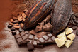 Cocoa pods, cocoa powder and beans with chocolate bar pieces