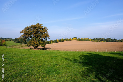 Okologische Landwirtschaft Im Herbst Naturnahe Landschaft In Schleswig Holstein Stock Foto Adobe Stock