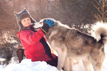 A Boy In A Hat With Ears Is Playing With An Alaskan Malamute Outdoors In The Winter. Love And Friendship Of The Child And Dog