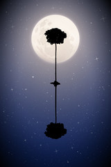 Poster - Vector landscape with lonely tree on moonlit night. Illustration with silhouette of maple reflected in water. Full moon in starry sky