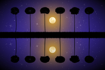 Sticker - Vector landscape with trees on moonlit night. Illustration with silhouettes of maples reflected in water. Full moon in starry sky.