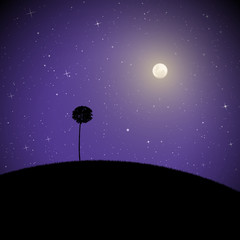 Sticker - Vector landscape with lonely tree on moonlit night. Illustration with silhouette of maple growing on hill. Full moon in starry sky