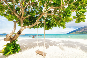 Wall Mural - Empty tropical beach with wooden swing on exotic tree