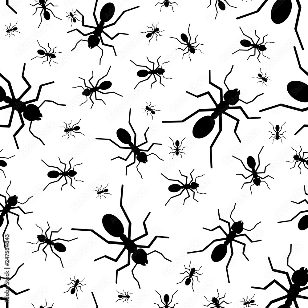Seamless pattern of the random silhouette black ants. Vector ...