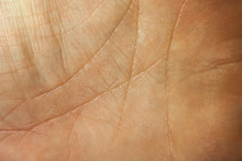 Close Up Macro Image Of The Skin Surface Texture Of Human Hands Palms