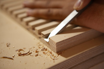 woodworking in the workshop