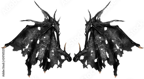 Close up on dragon wings isolated on white background. Cut out. Obraz na płótnie