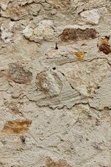 Wall Mural - texture of stone wall