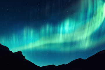 Wall Mural - Aurora borealis. Northern lights in winter mountains. Sky with polar lights and stars