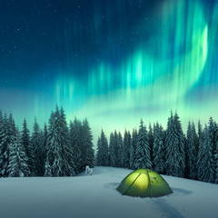 Wall Mural - Aurora borealis. Northern lights in winter forest. Sky with polar lights and stars. Night winter landscape with aurora, green tent and pine tree forest. Travel concept