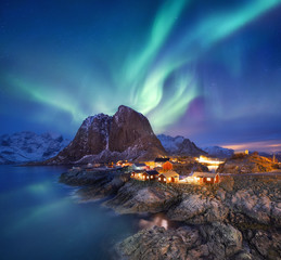 Wall Mural - aurora borealis on the lofoten islands, norway. green northern lights above ocean. night sky with po