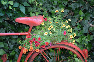 Poster - Rotes Fahrrad mit Blumenschmuck