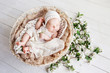© fadzeyeva - Sweet newborn baby sleeps in a basket. Beautiful newborn boy with flowers