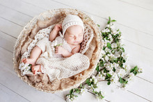 Sweet Newborn Baby Sleeps In A Basket. Beautiful Newborn Boy With Flowers