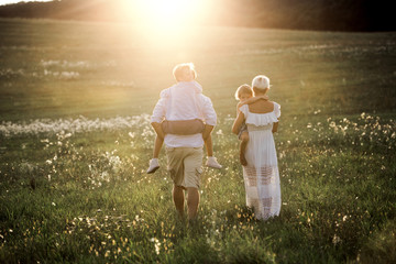 Wall Mural - A rear view of family with small children walking on a meadow at sunset in summer.