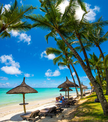 Wall Mural - Trou aux biches, Mauritius. Tropical exotic beach with palms trees and clear blue water.